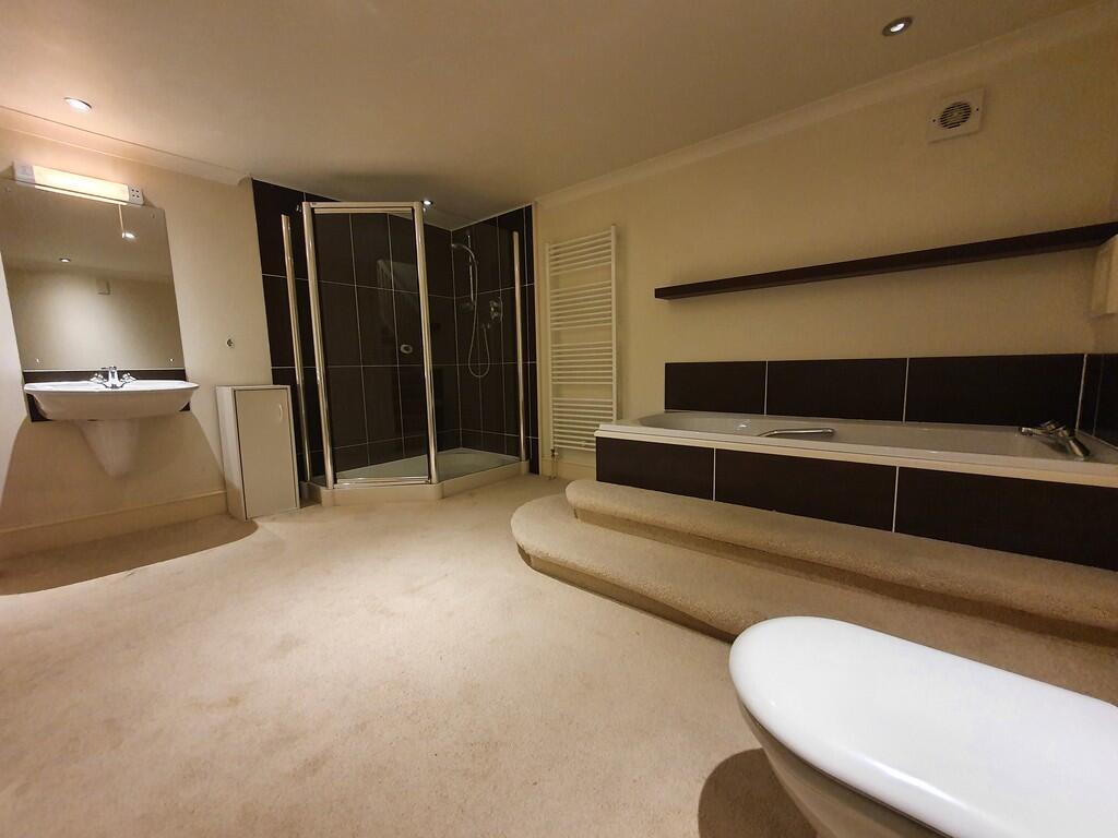 Downstairs Bathro...