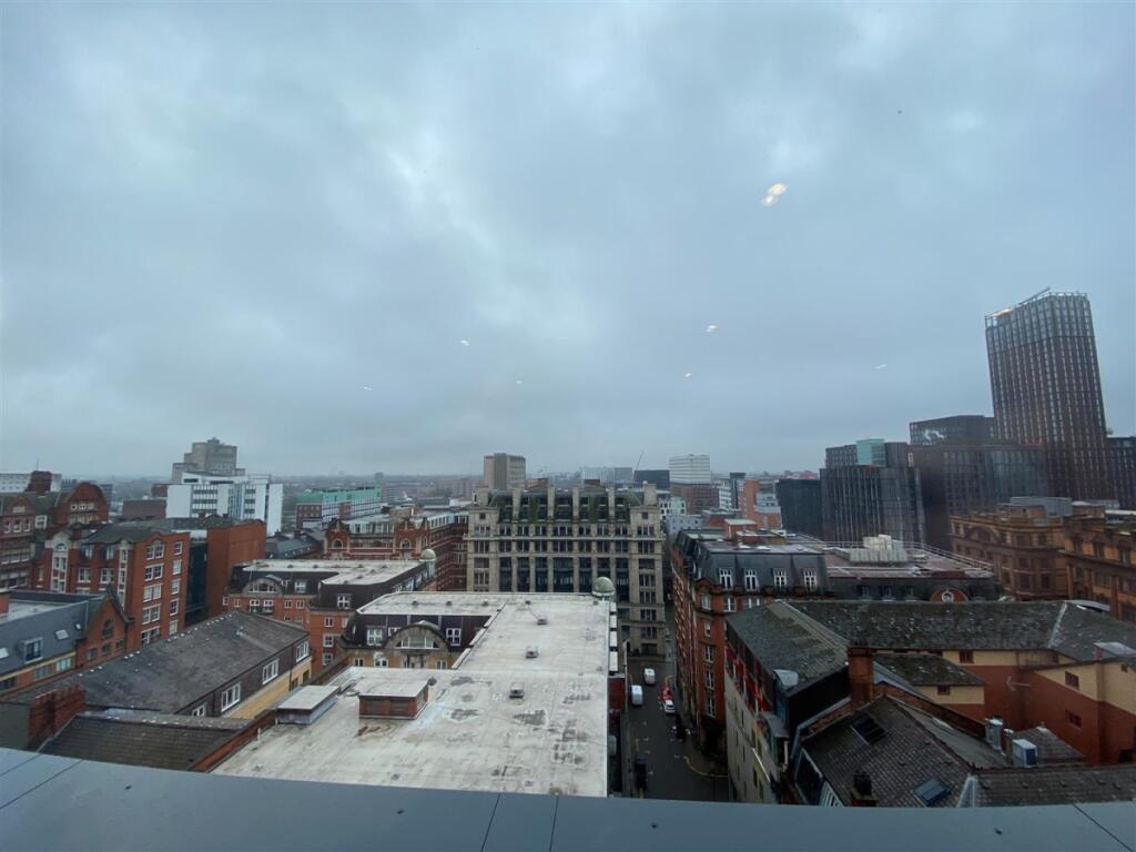 view (Large)