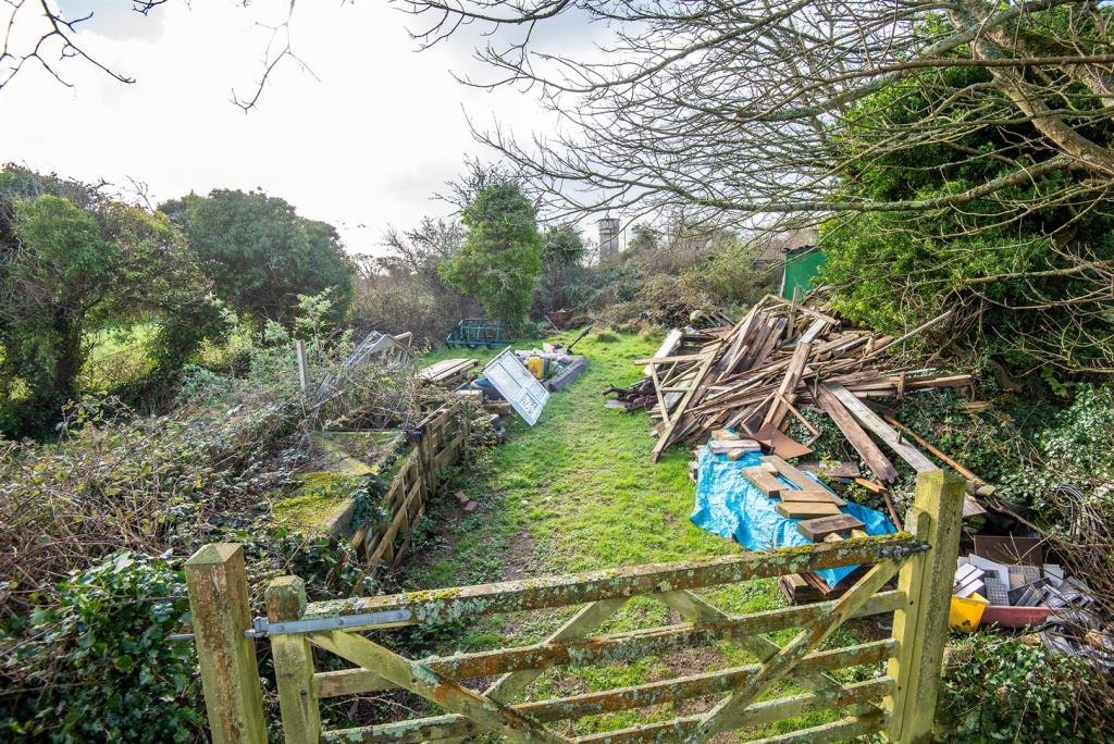 Lane Cottage Paddock.jpg