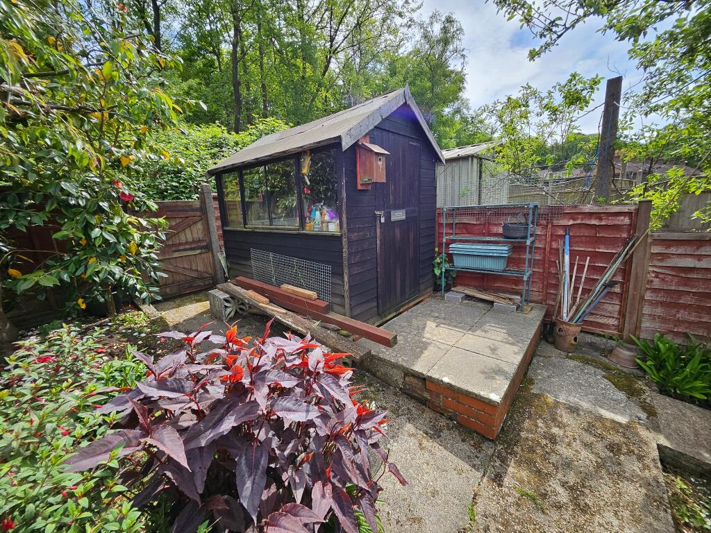 Rear garden
