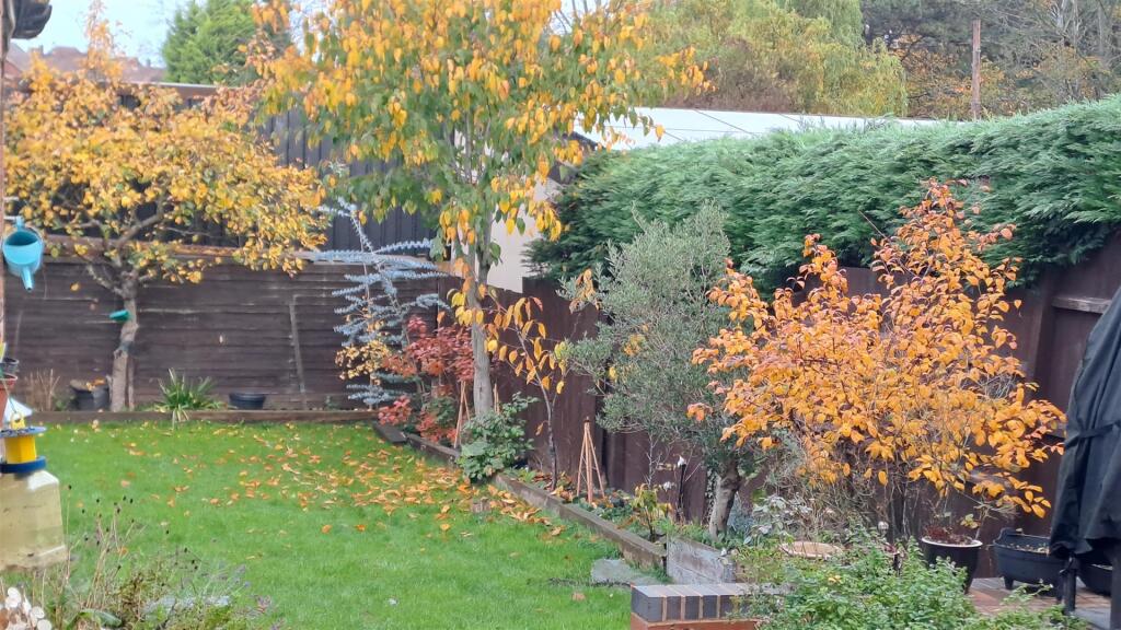 garden.jpg