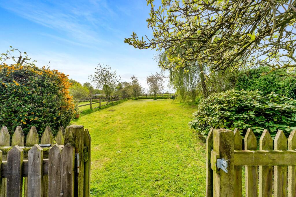 Meadow Garden