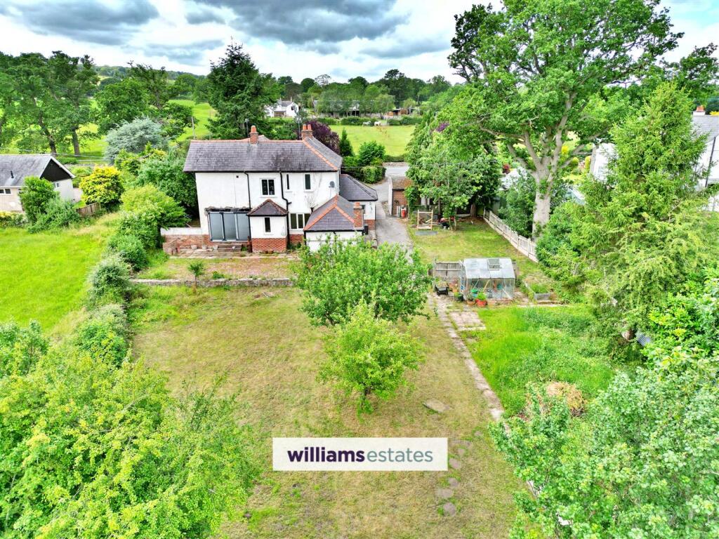 Aerial Shot