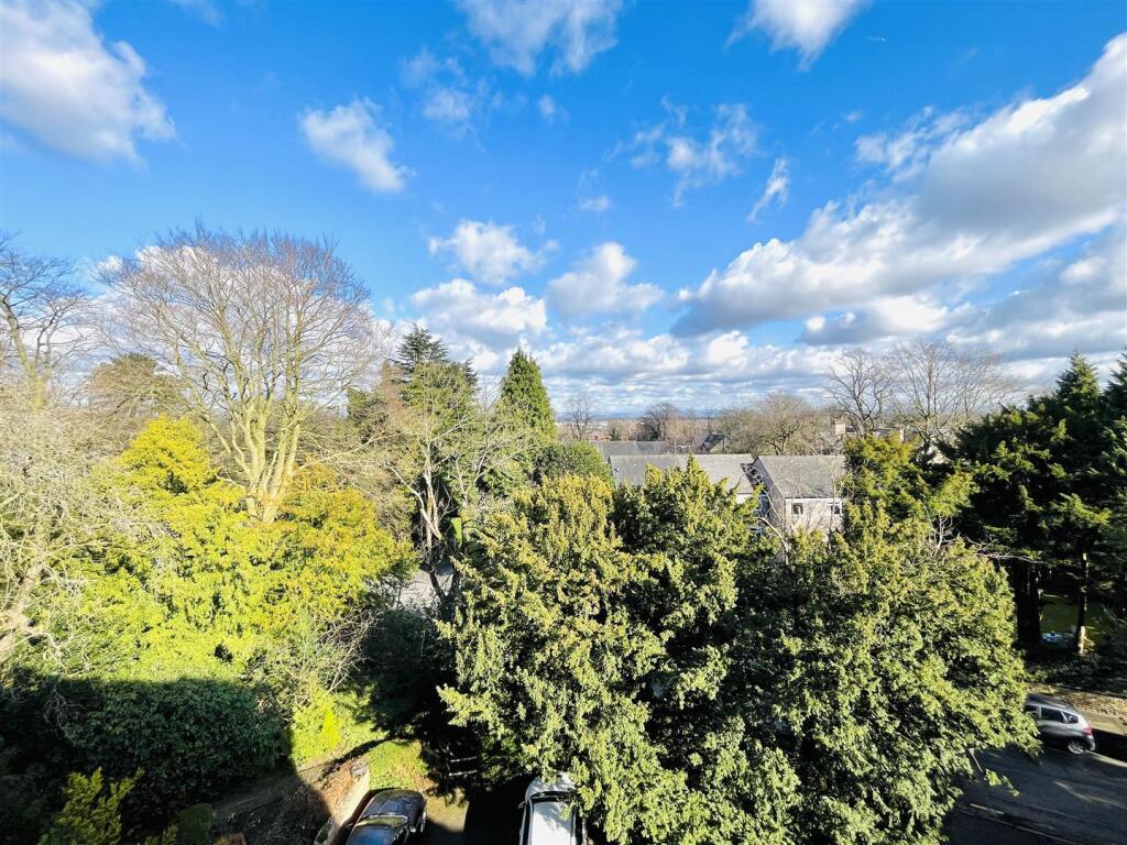 Views from Apartment