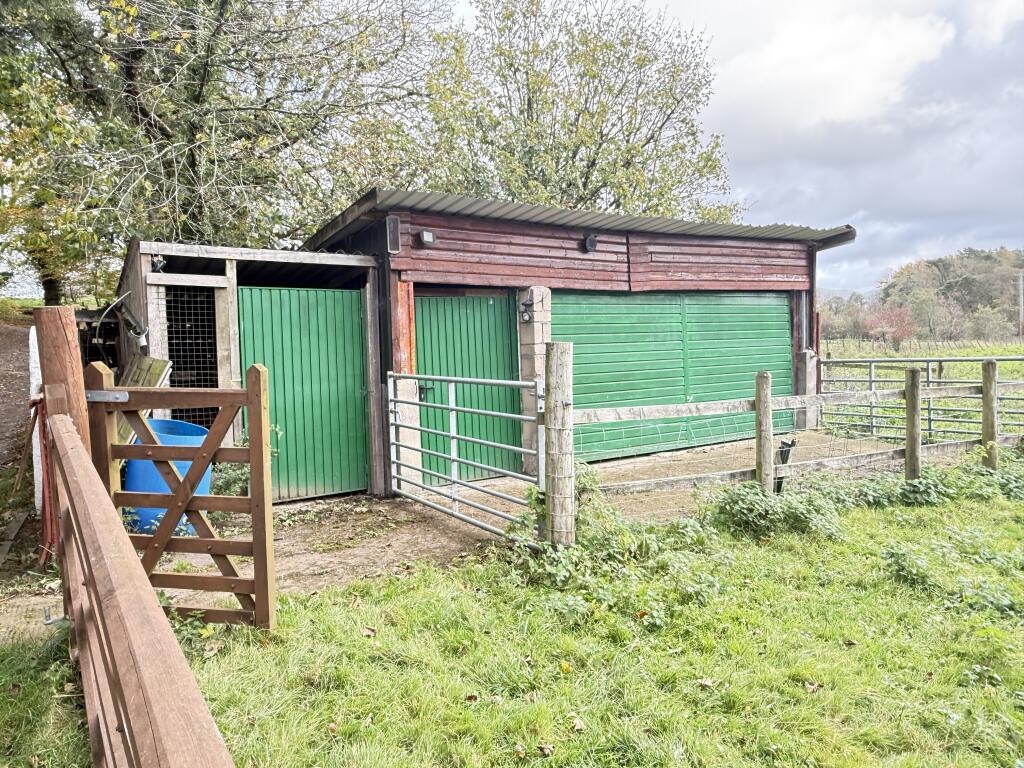 IMG 1752 T202510301648.jpg