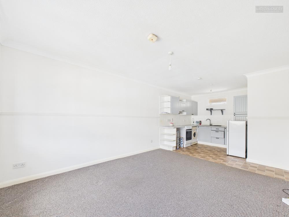 Kitchen/Living/Dining Area