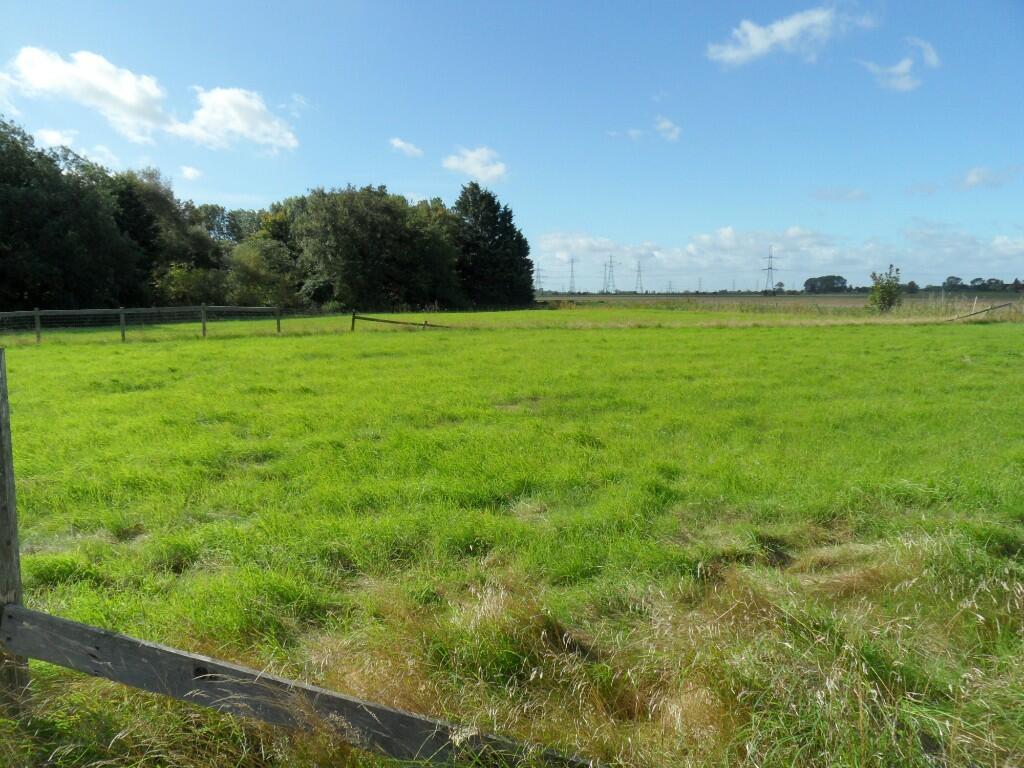 PADDOCK LAND