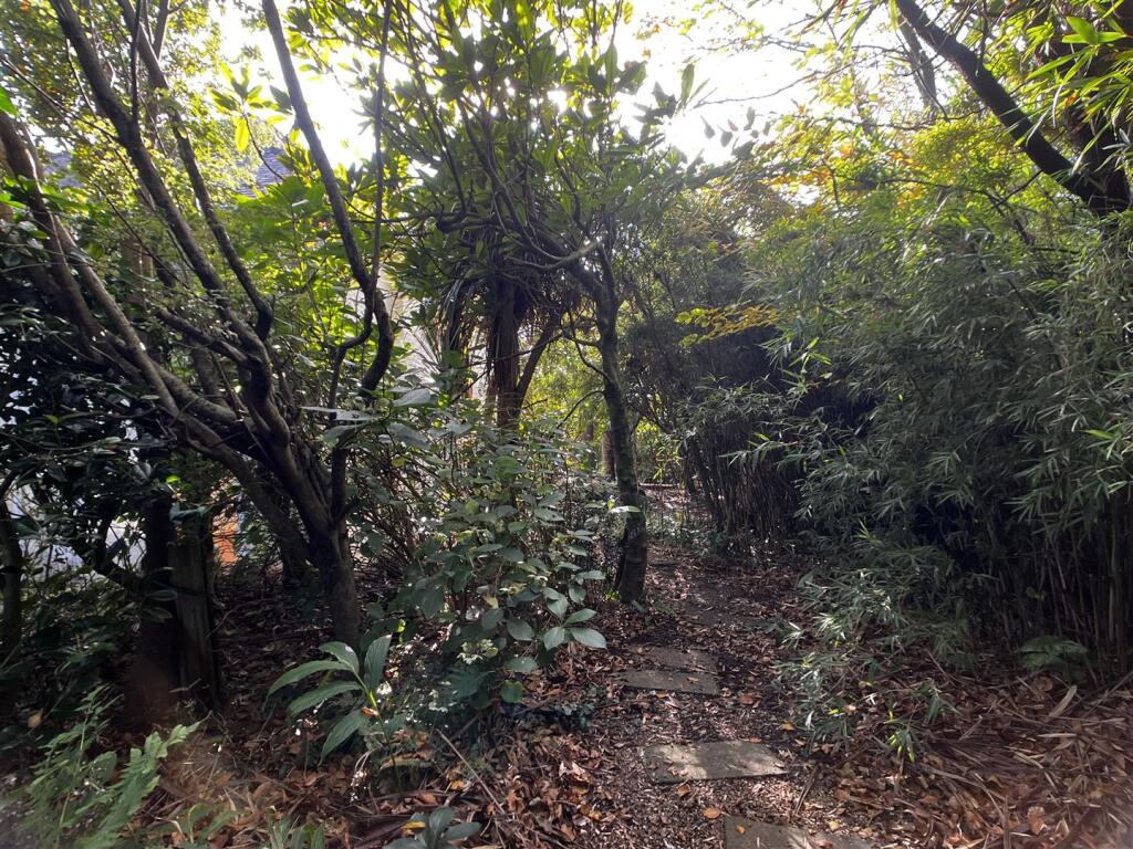 IMG_6639.jpeg