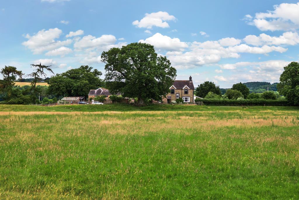 Land