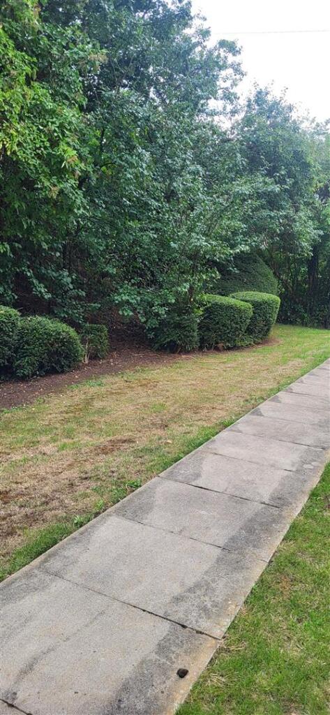 Garden 2.jpg