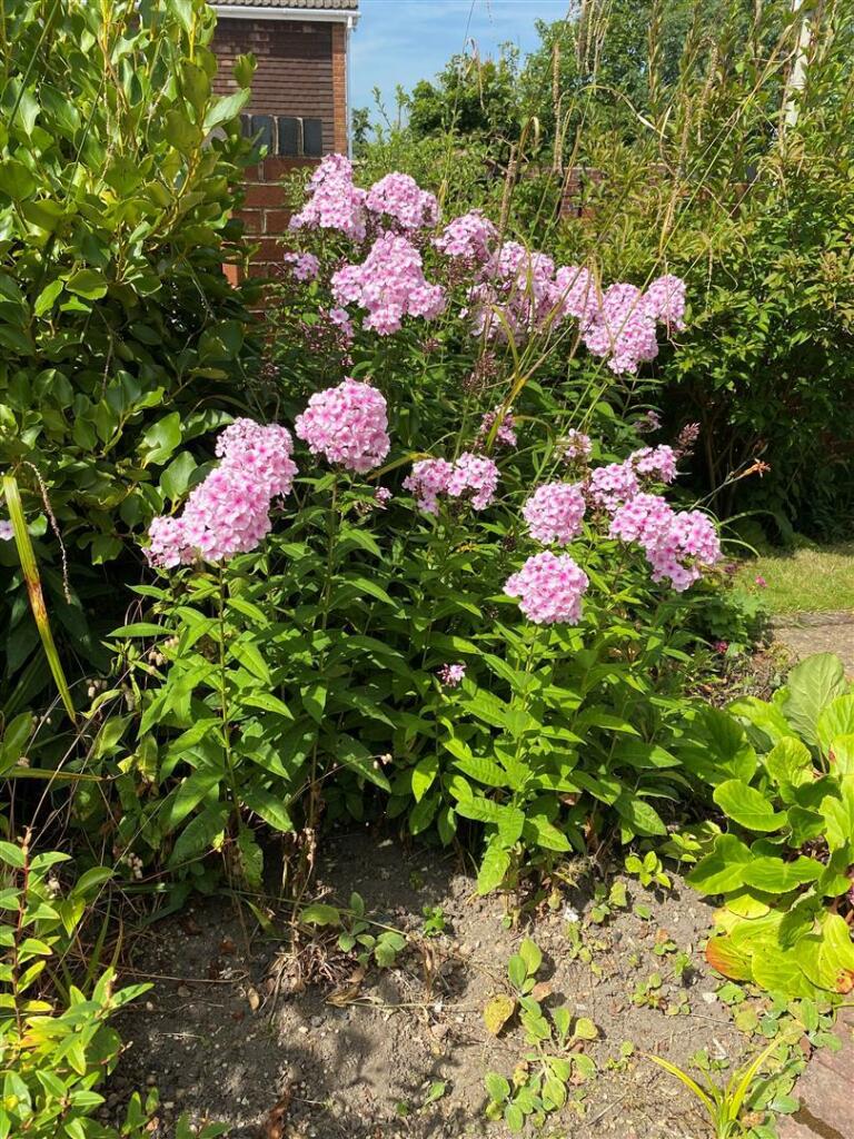 image011.jpg