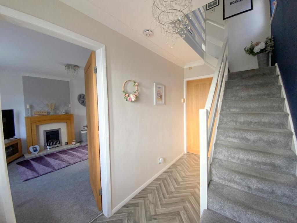 resized_IMG_6466.jpg