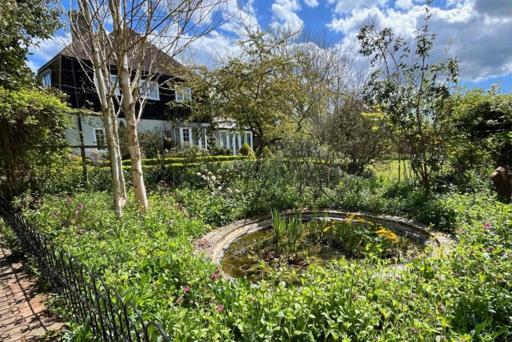 garden pond