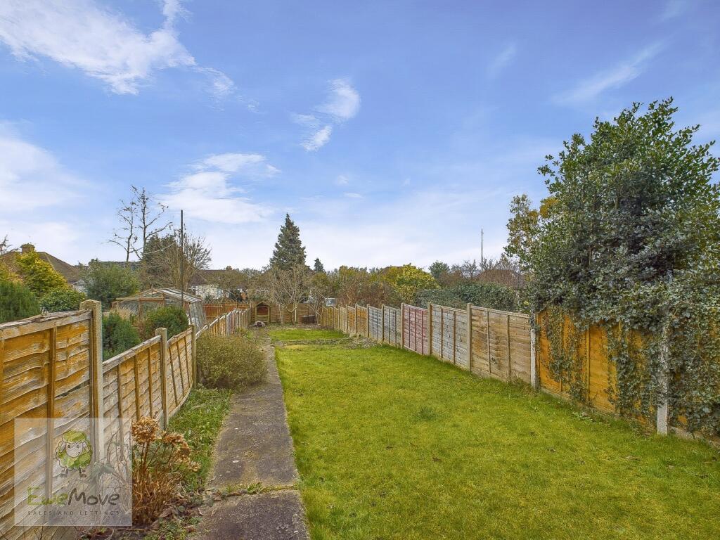 Back Garden