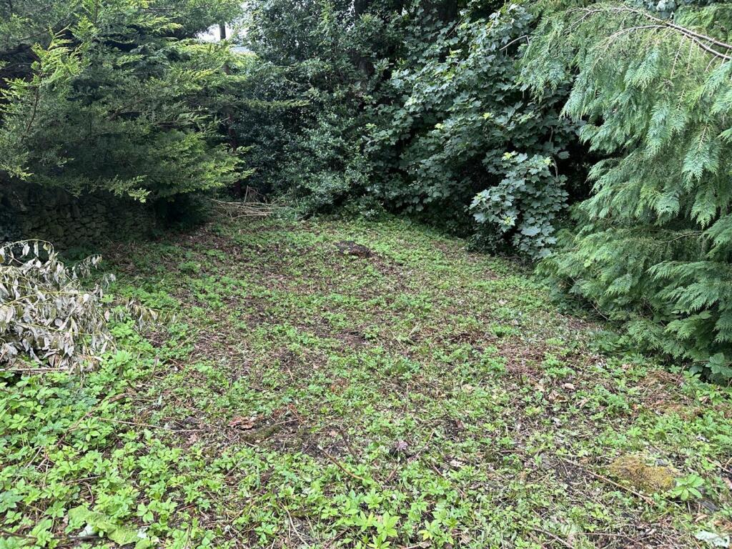 Messenger_creation_33bc7fea-d405-4628-9586-0ad13f9