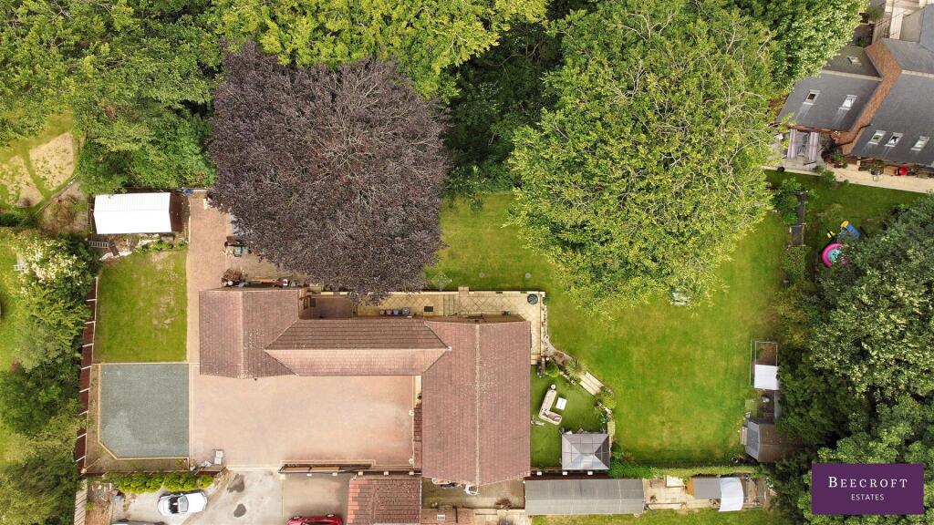DJI_0174.jpg