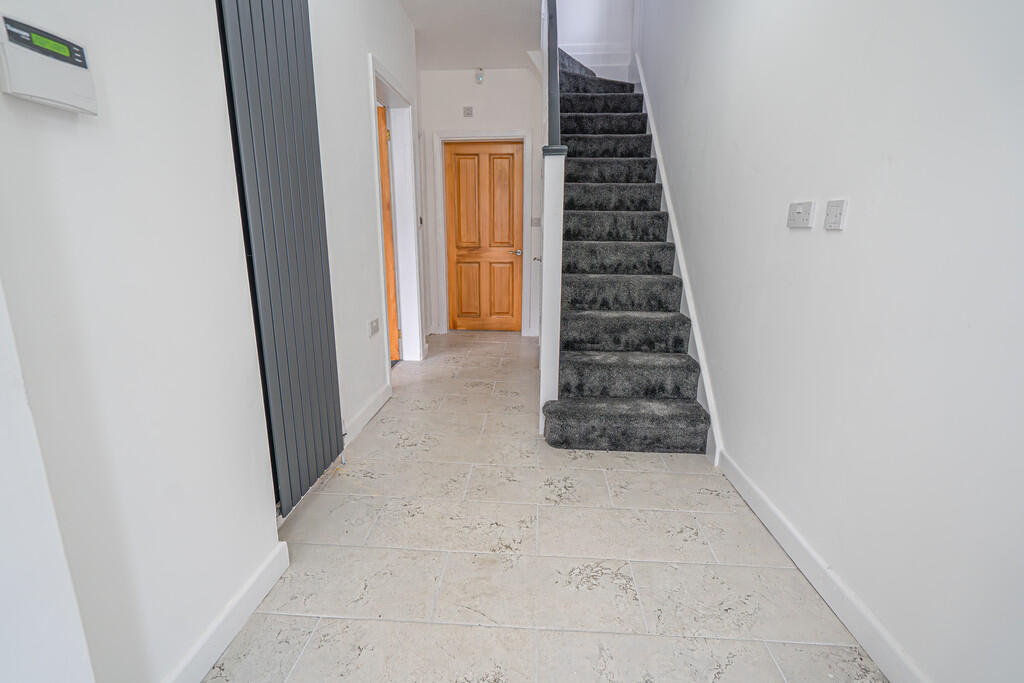 20250306-DSC03117...