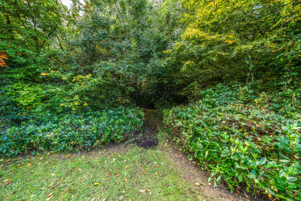 Woodland