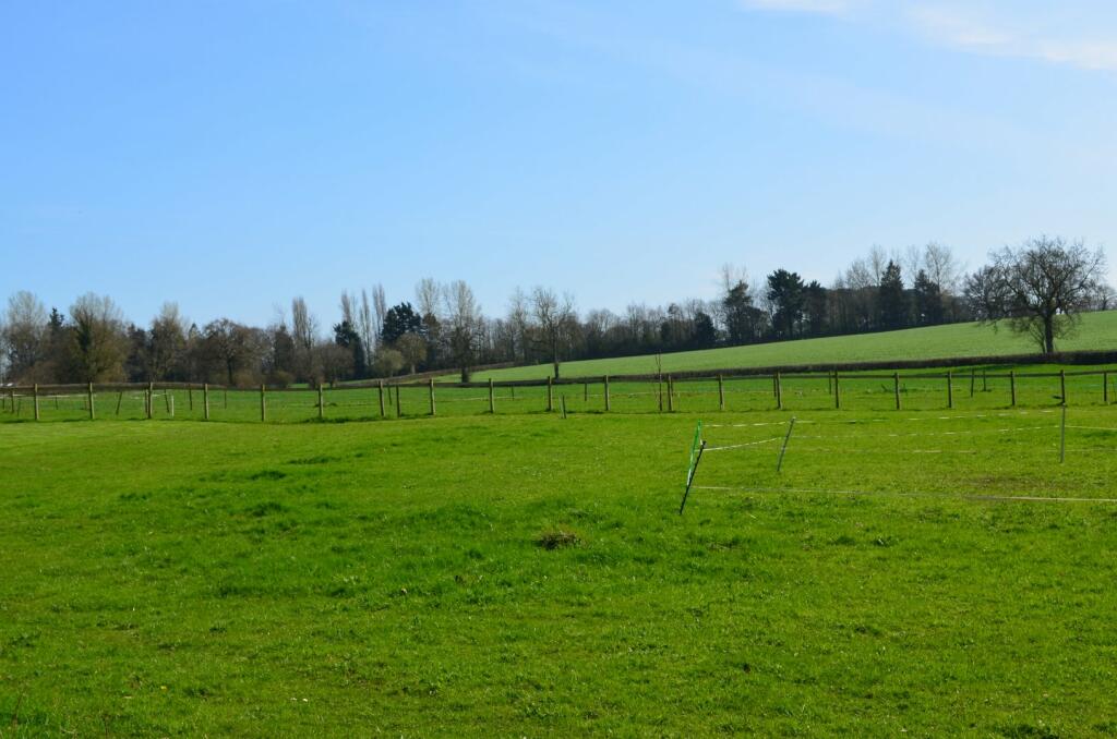 View Over Fields