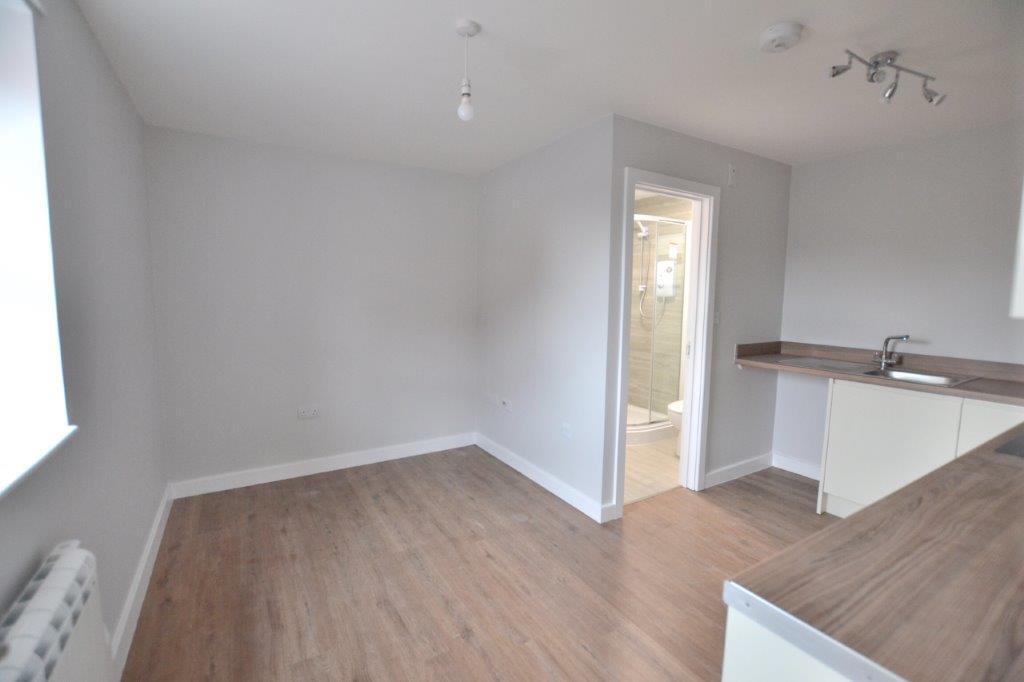 flat 4 living room.jpg