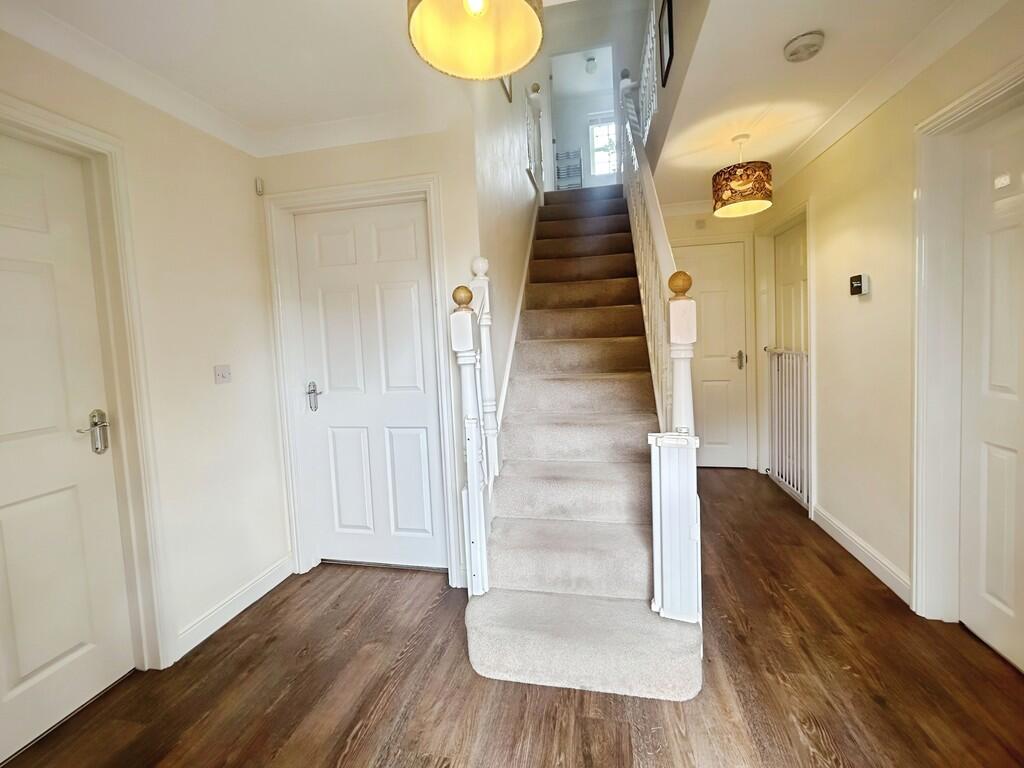 ef93d261-WhatsApp...