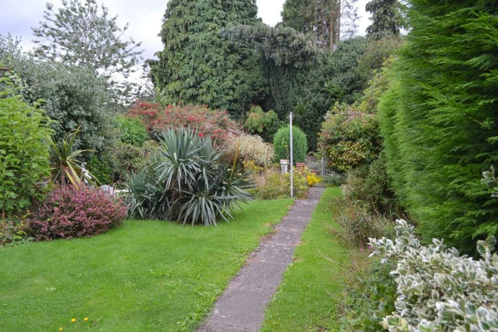 garden 2 (Medium).JPG