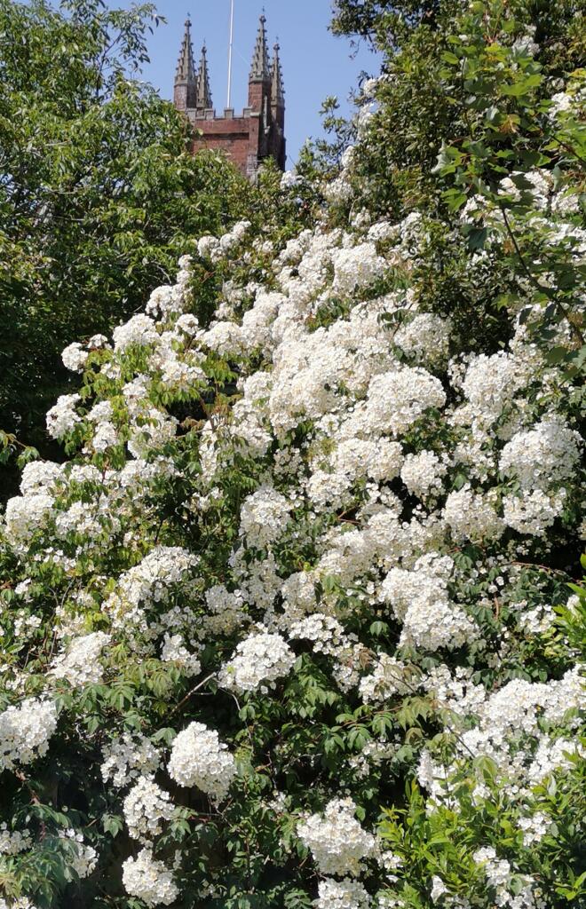 IMG_20250620_122213_1_edit_9193628804846