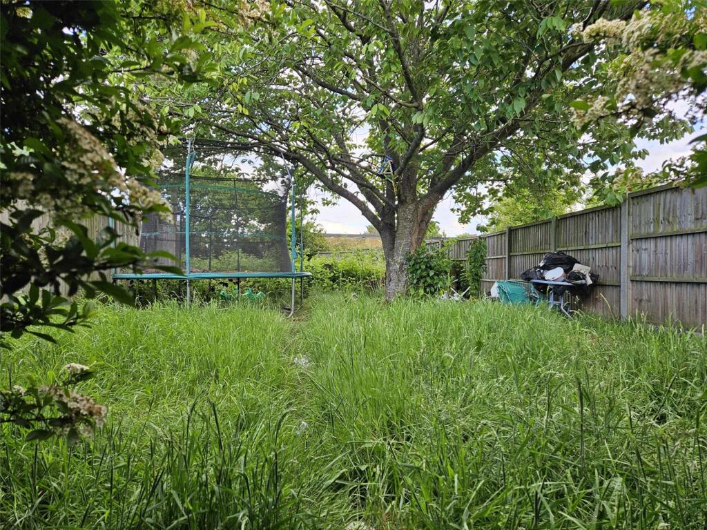 Garden (2)