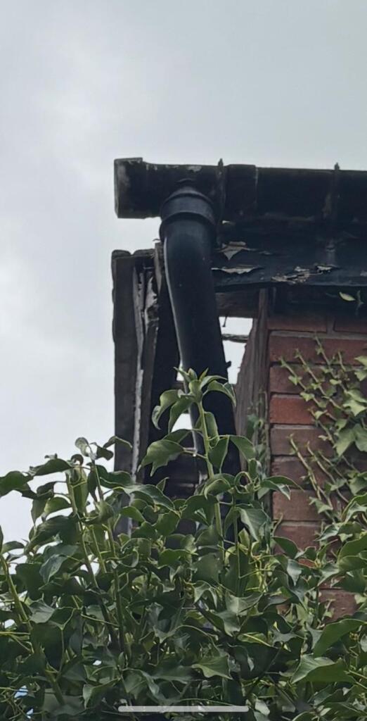 6c9276cf-5c7a-457d-bdeb-443cbb8dafea T202507041050.jpg