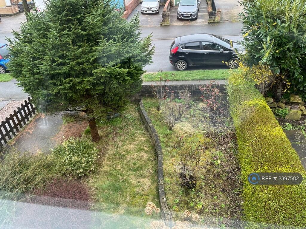 Front Garden 1