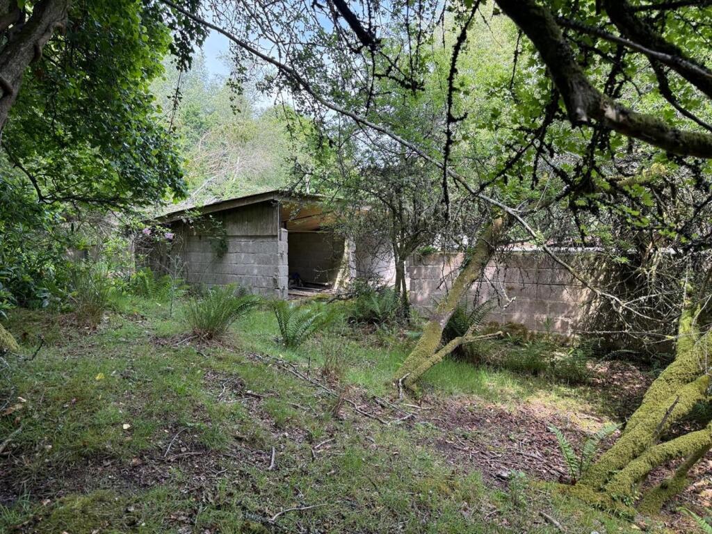 More dereliction.jpeg