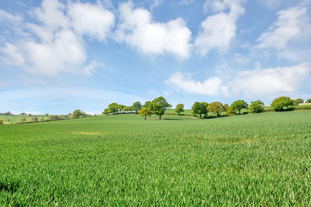 Farmland
