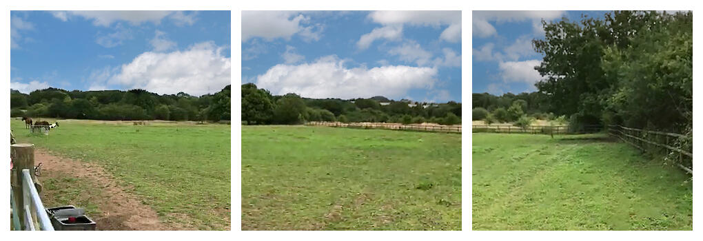 Waseley Field