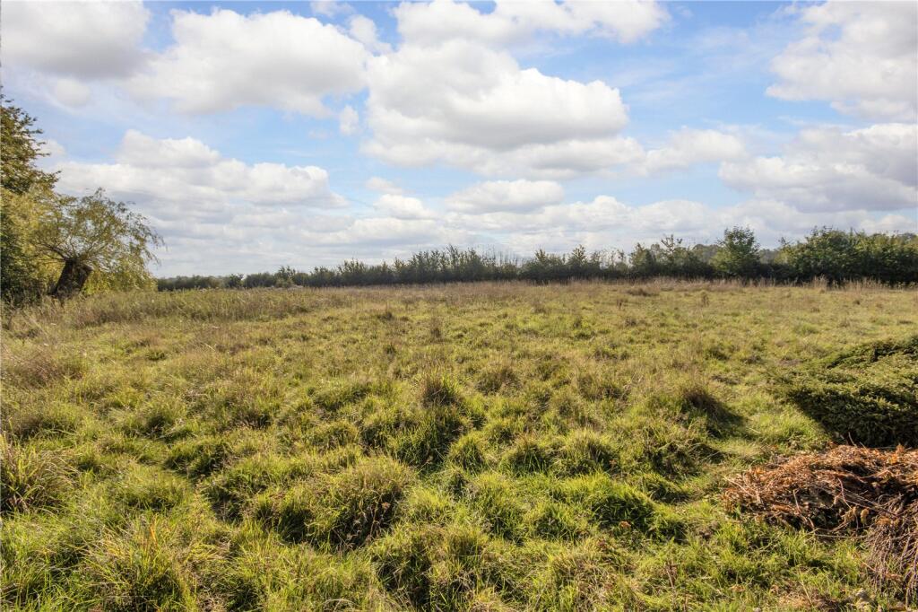 Field