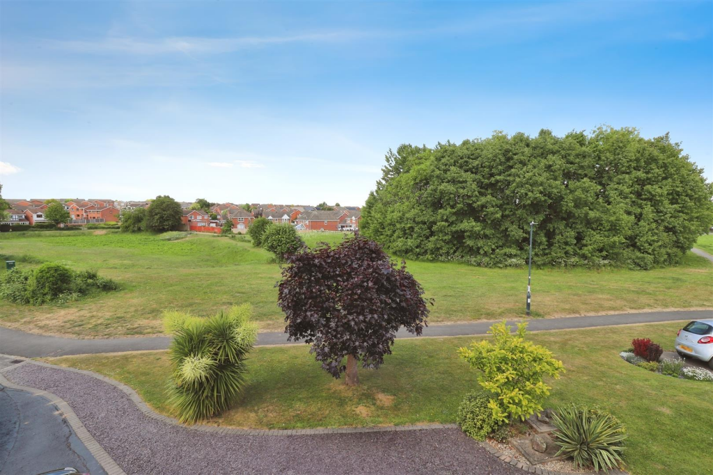 user_edited_photo-d17ae386_user-edited-119b13d7-31