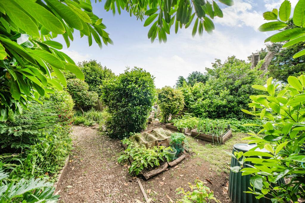 Communal Garden
