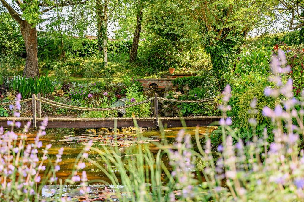 Wildlife Pond