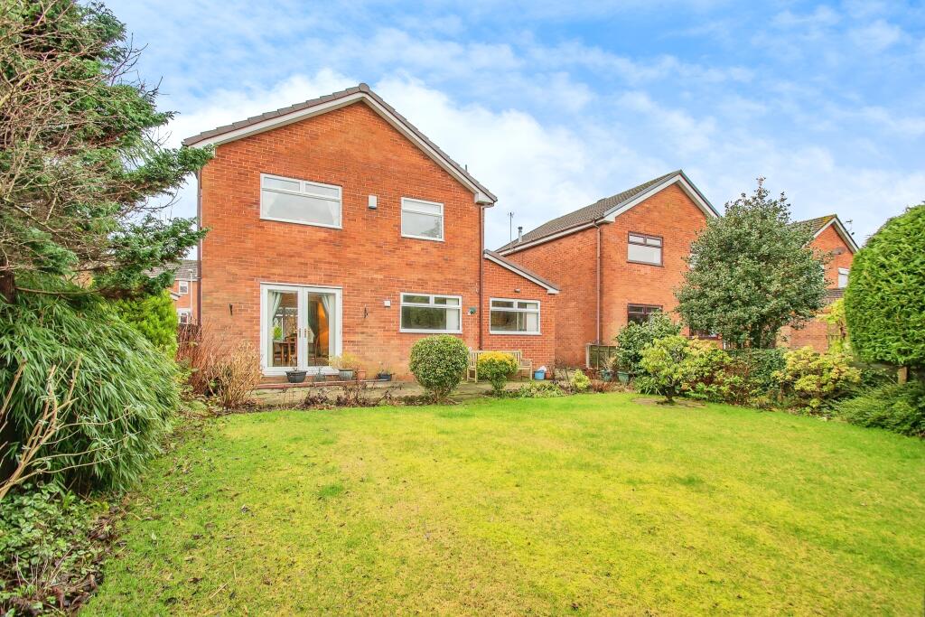Rear View