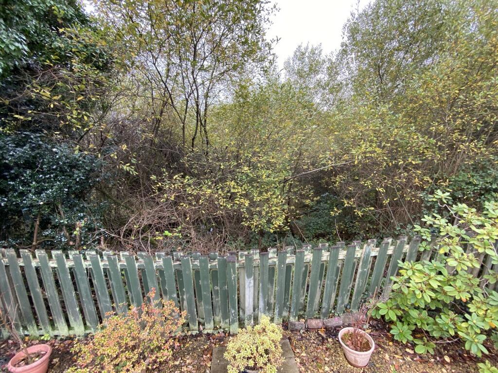 Woodland