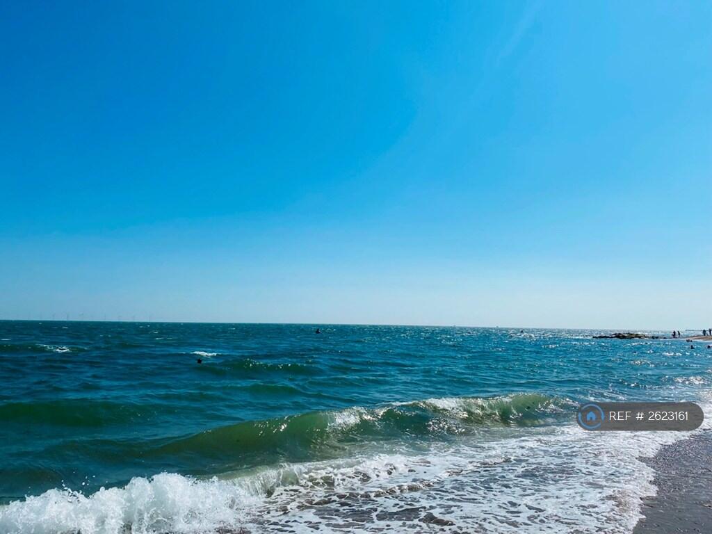 Ocean Views 