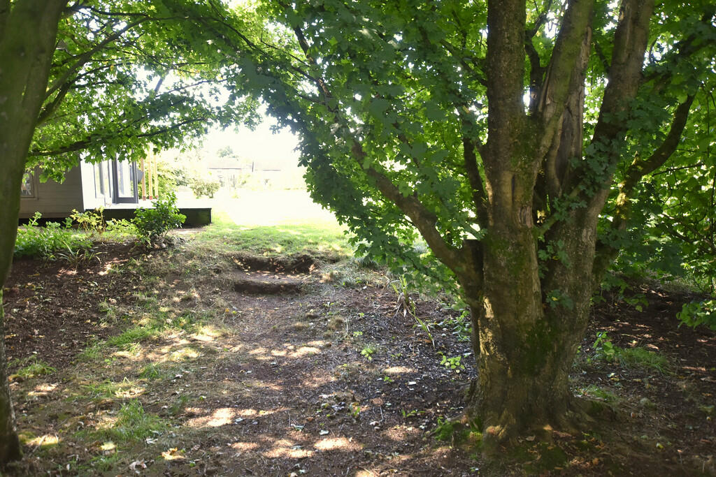 Woodland 1