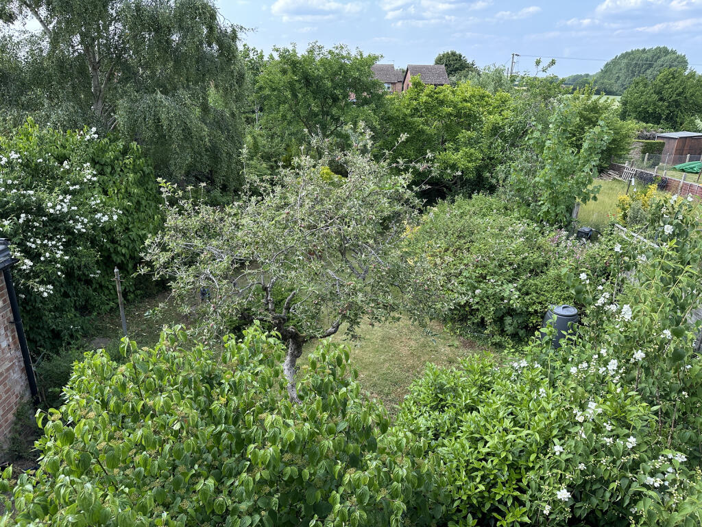 Garden 4.JPG