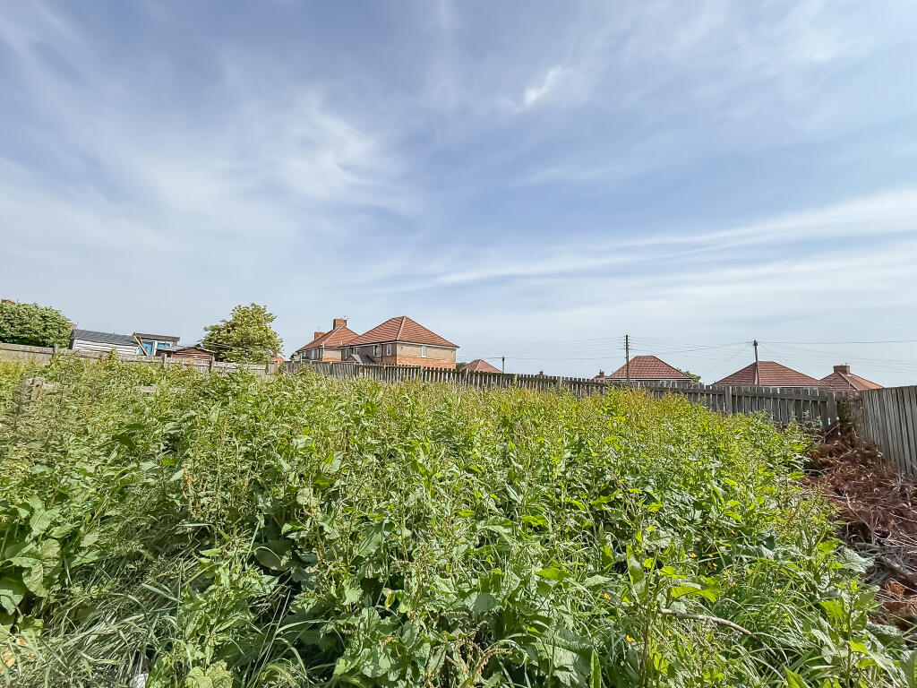 IMG 8997 T202506151053.jpg