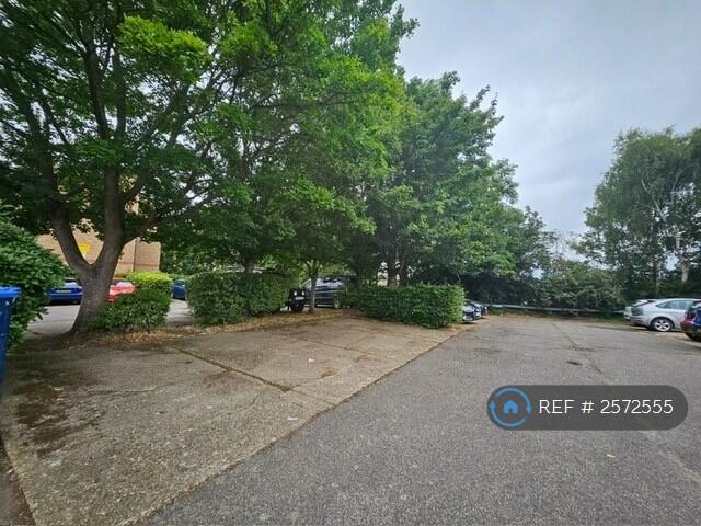 Ample Parking Space