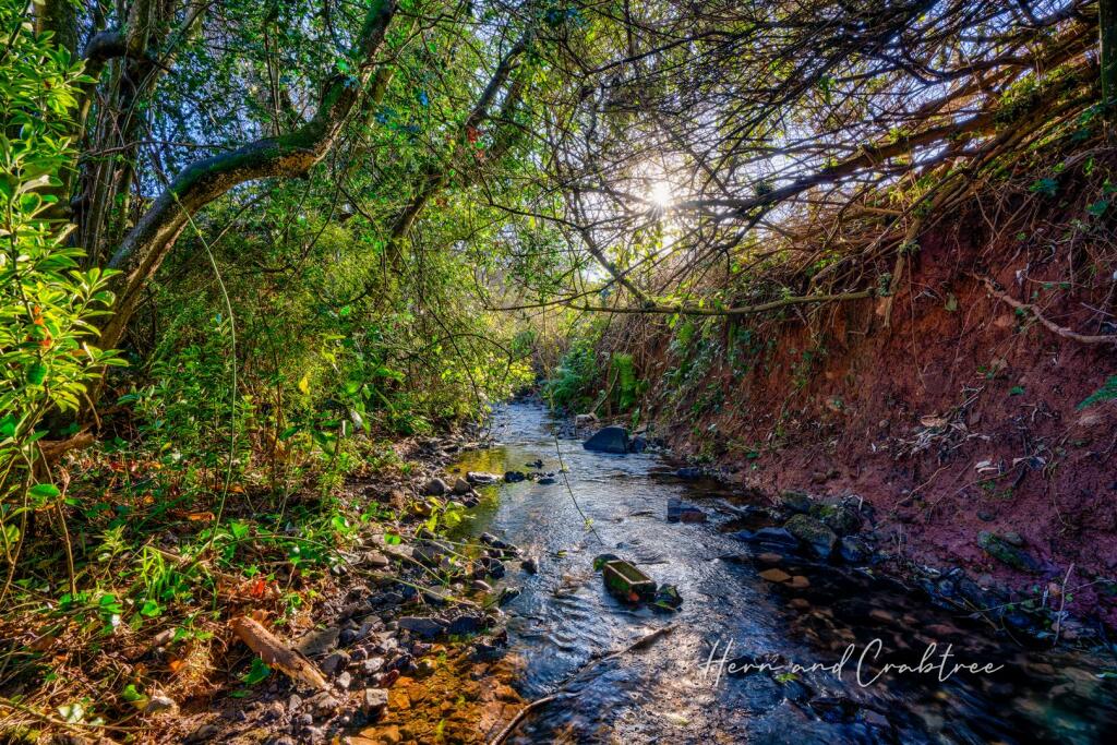 Kennington Close, Thornhill, HernCrabtree (27).jpg