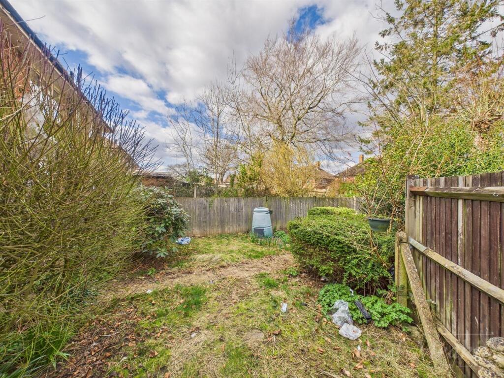 Back Garden