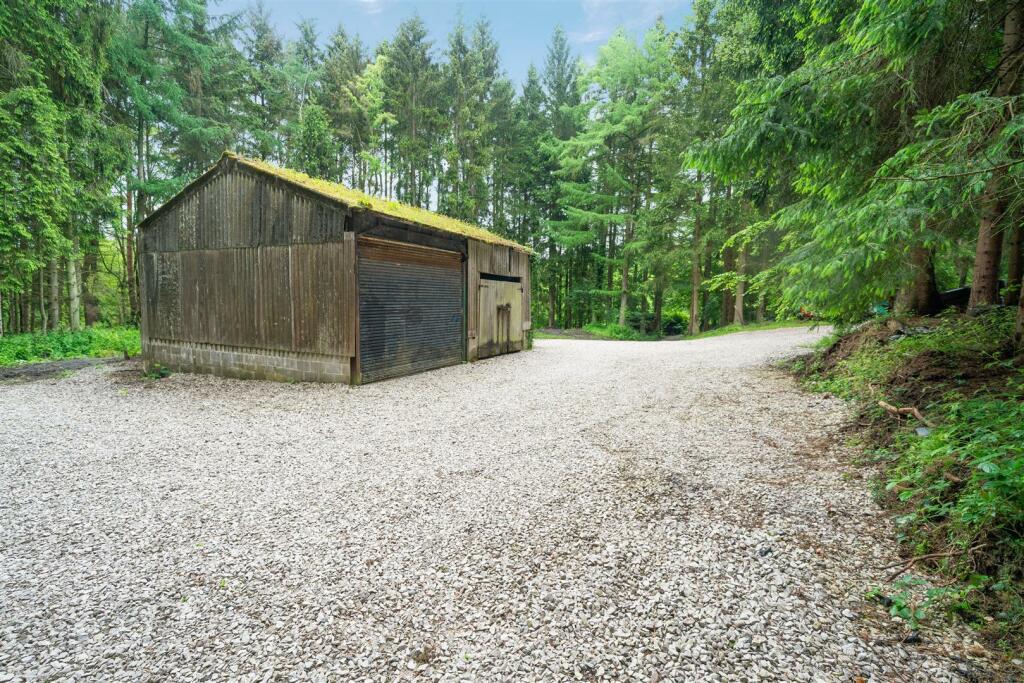 Garden extended-3.jpg