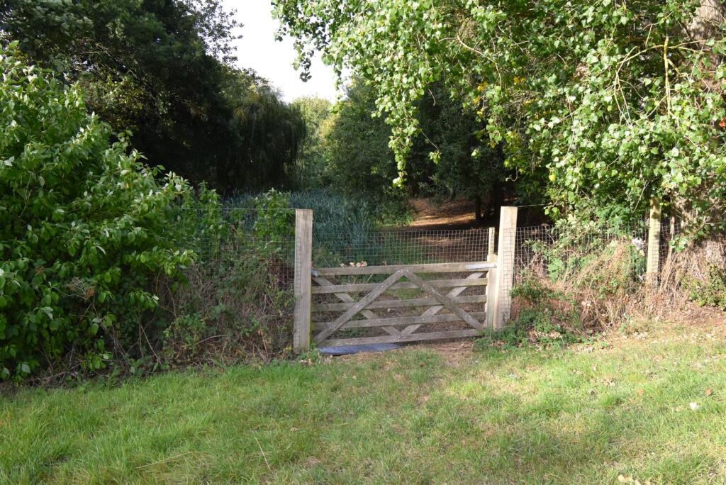 Woodland