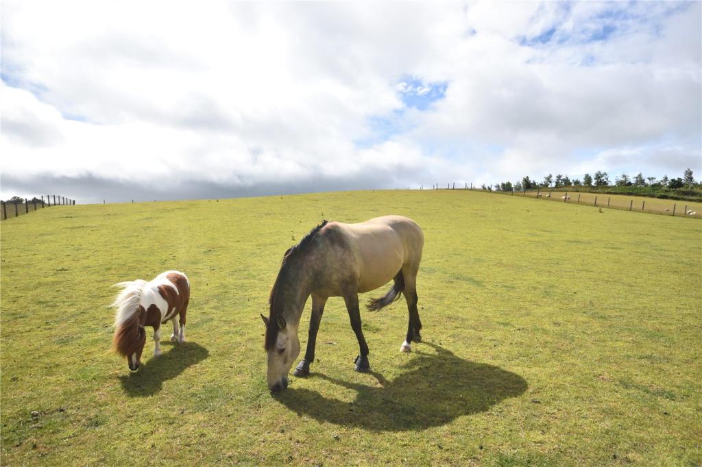 Grazing