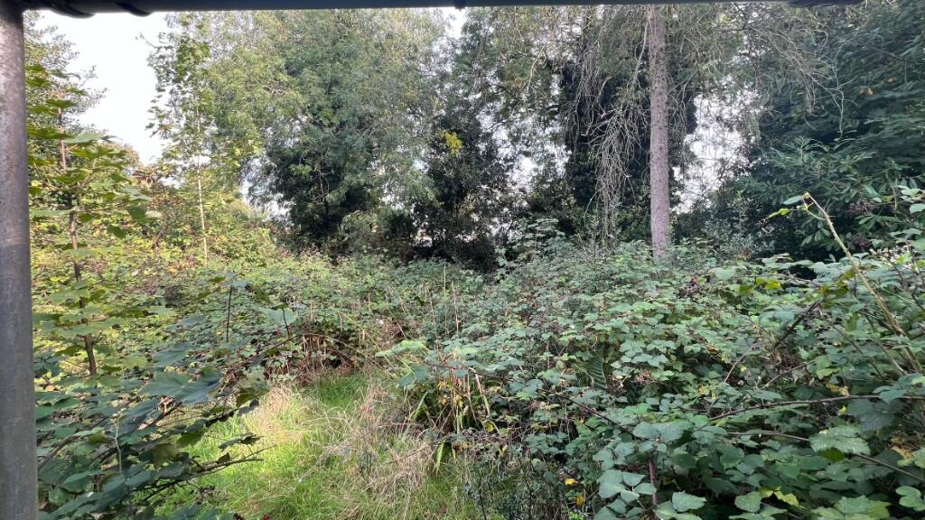 View to end of Plot
